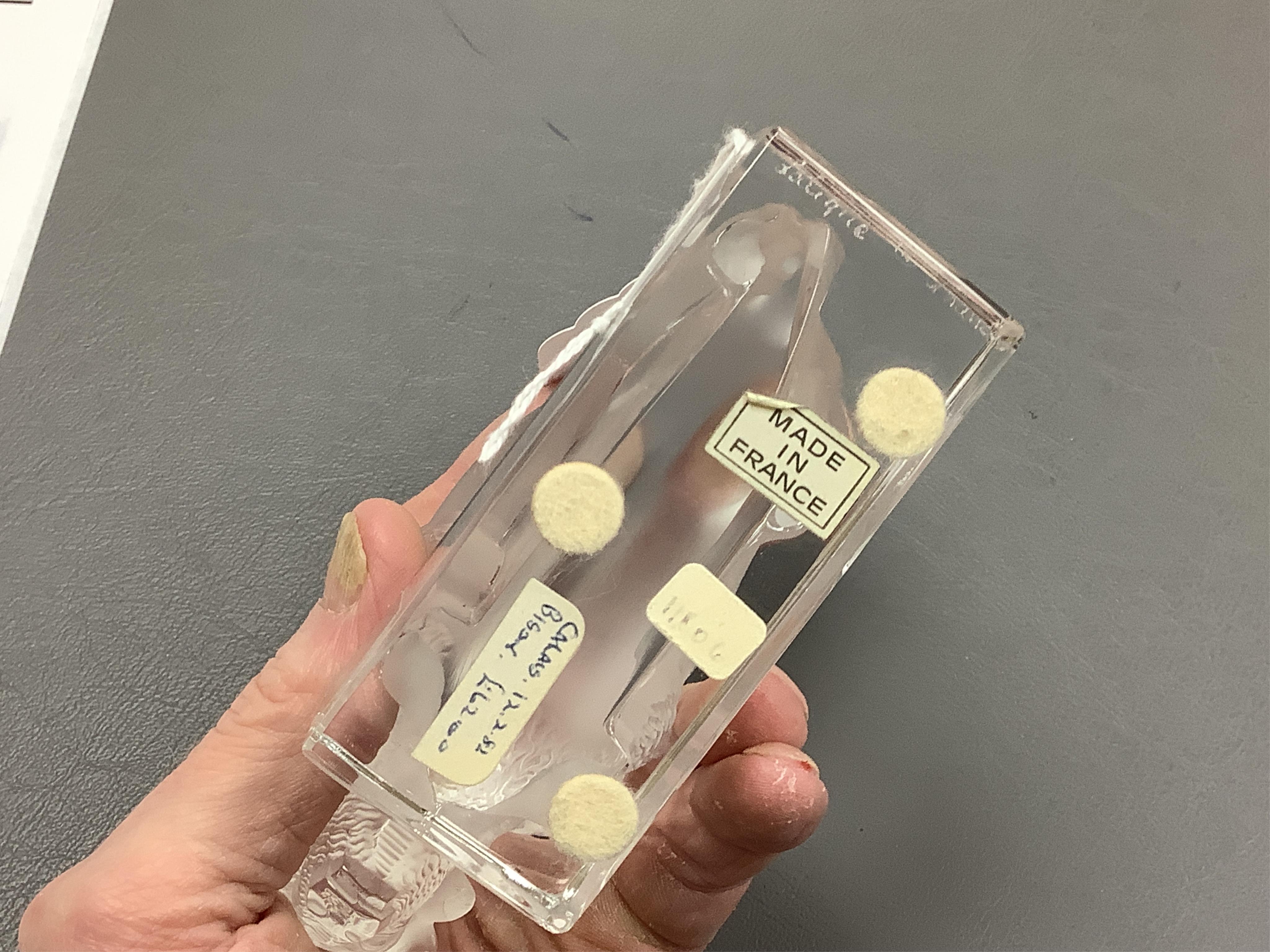 A Lalique crystal frosted glass Bison on polished clear glass paperweight paperweight (boxed), 12cm wide x 10cm high